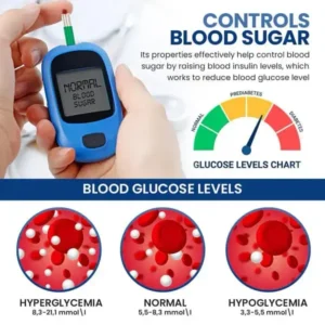 Fivfivgo™ GlucoCare Blood Sugar Control Patch